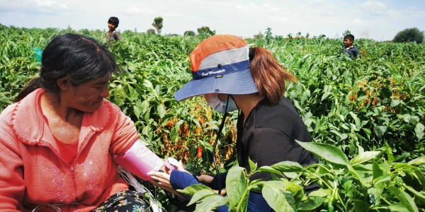 Arranca Operativo de salud ‘Jornalero 2023’ en Guanajuato