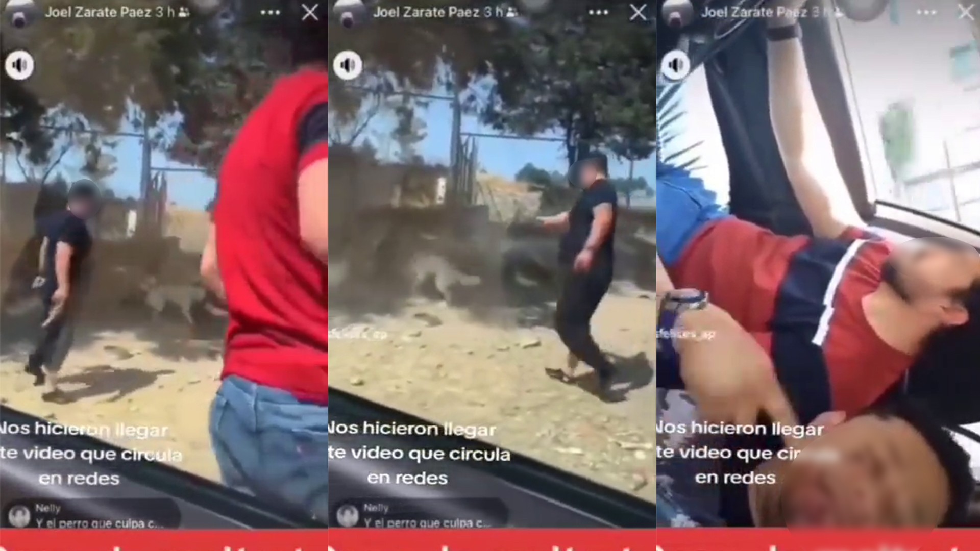 Excandidato a presidencia municipal de Tlaxcala por el Partido Verde dispara a perrito en impactante video