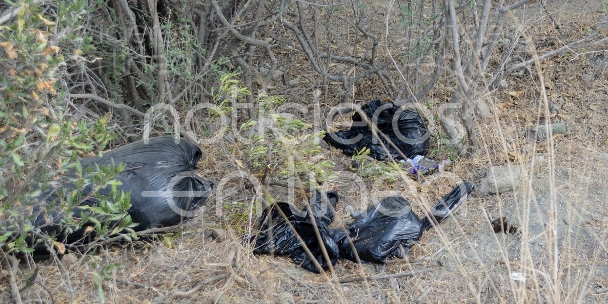 Hallan restos humanos en la comunidad de Alfaro