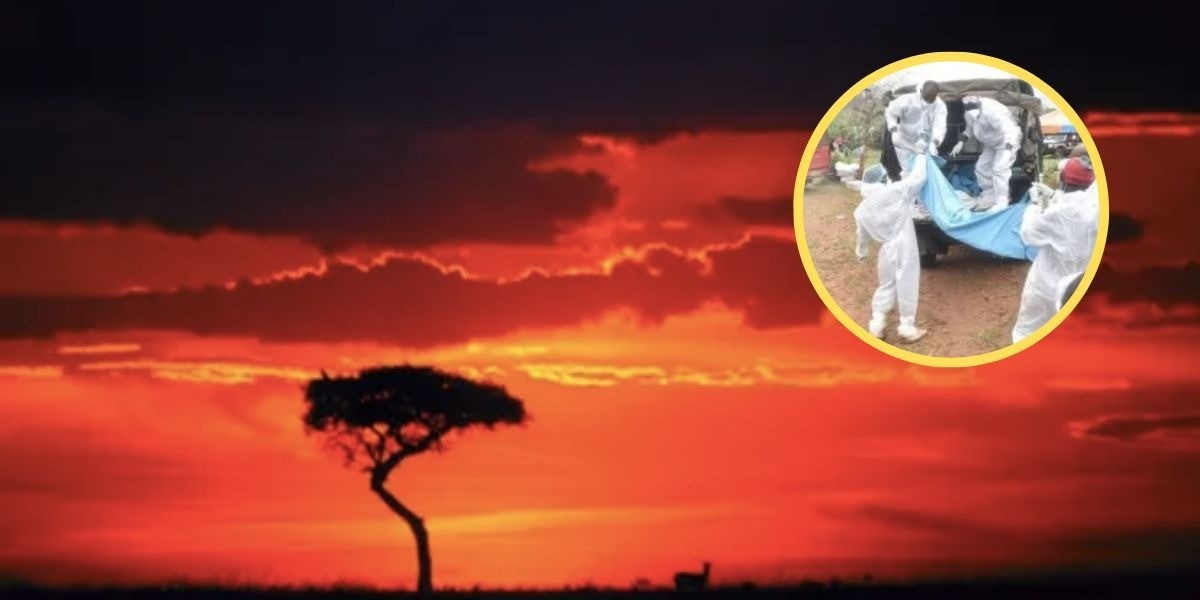 Continúan apareciendo cadáveres de una secta, suman más de 300