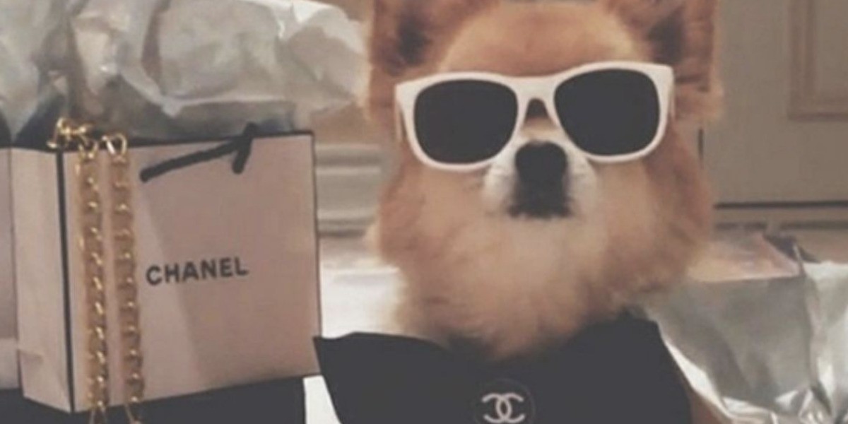 Multimillonario pagará 2 millones de pesos a ‘niñera’ de perros