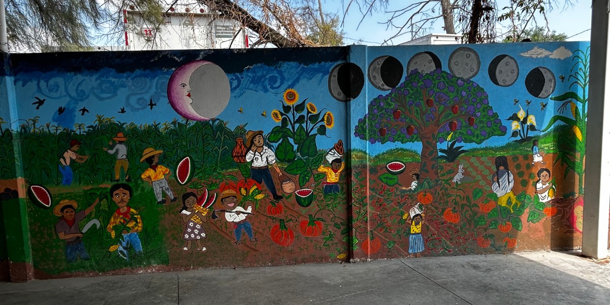 A través de cuentos, REDIM busca explicar las desapariciones a la niñez