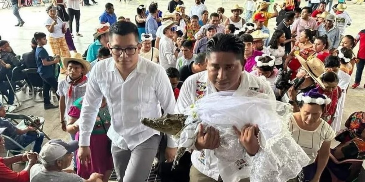 Alcalde de un municipio de México se casa con un cocodrilo