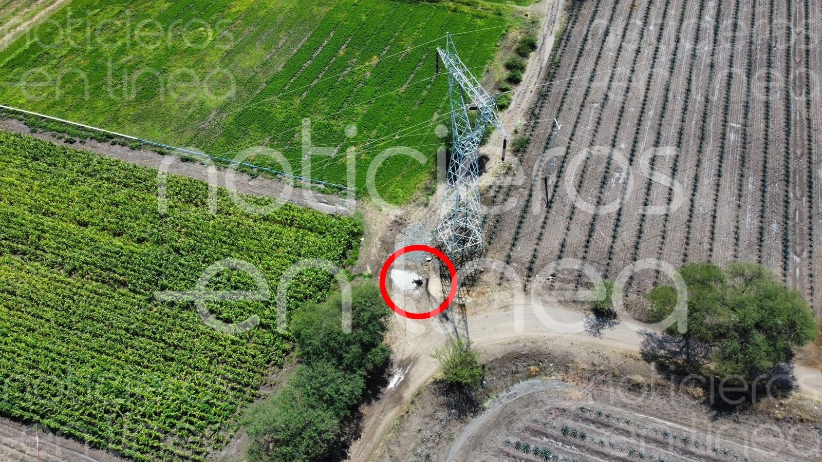 Jornaleros encuentran cadáver en parcelas de La Ladera, Silao