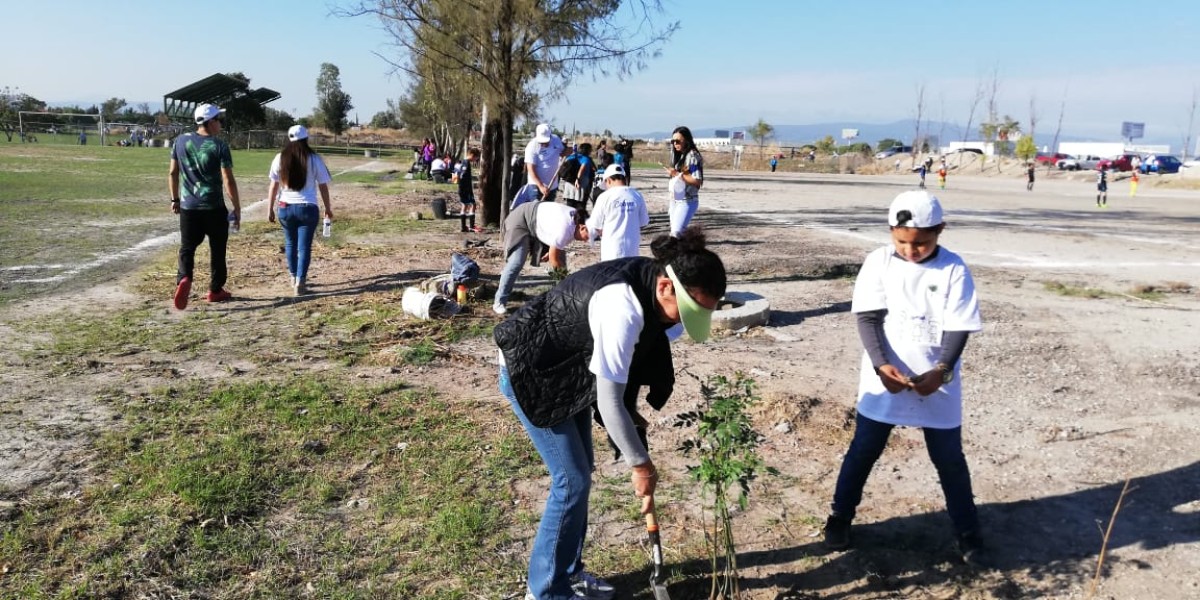 Recibe Medio Ambiente León 260 solicitudes de forestación y reforestación