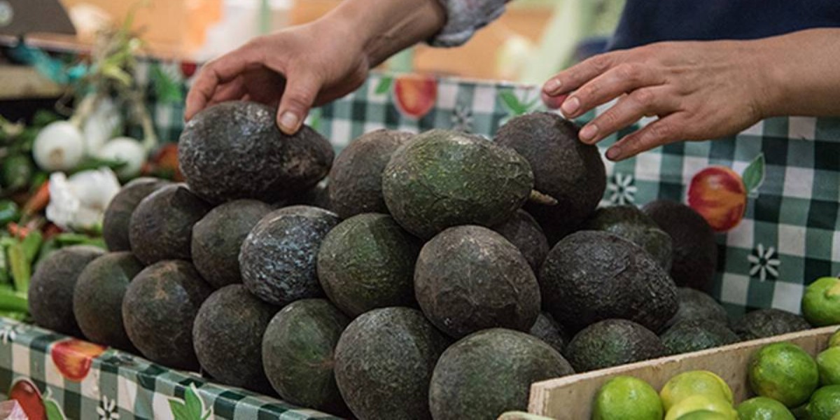 Precio de Aguacate llega a los 80 pesos por kilo en León