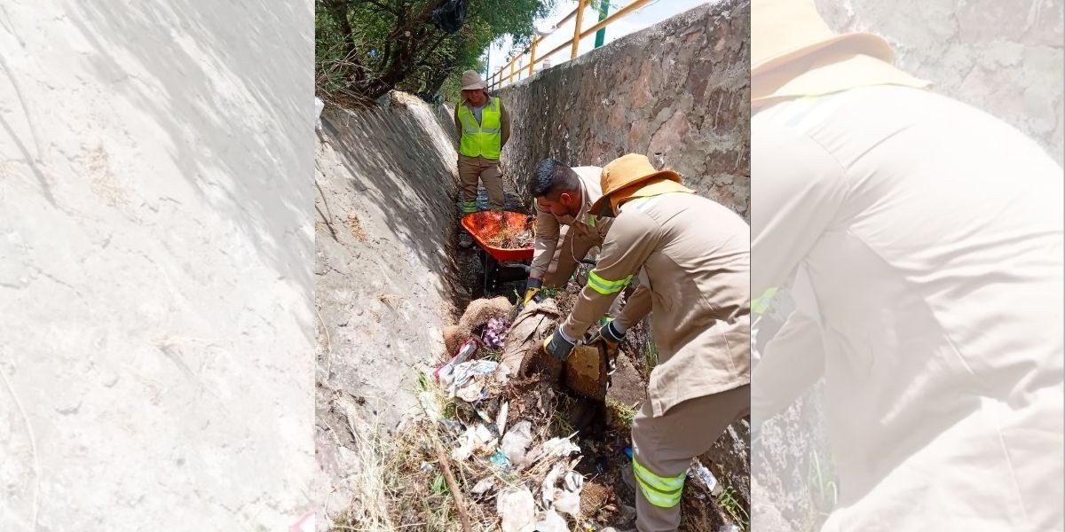 Intensifica SAPAL la limpieza en arroyos y redes de alcantarillado