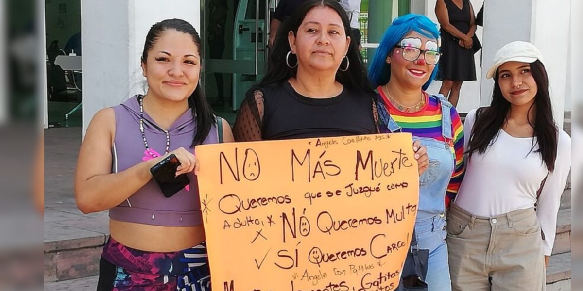 ¿Moda, reto…? Menores asesinan a mascotas y lo exhiben en redes sociales