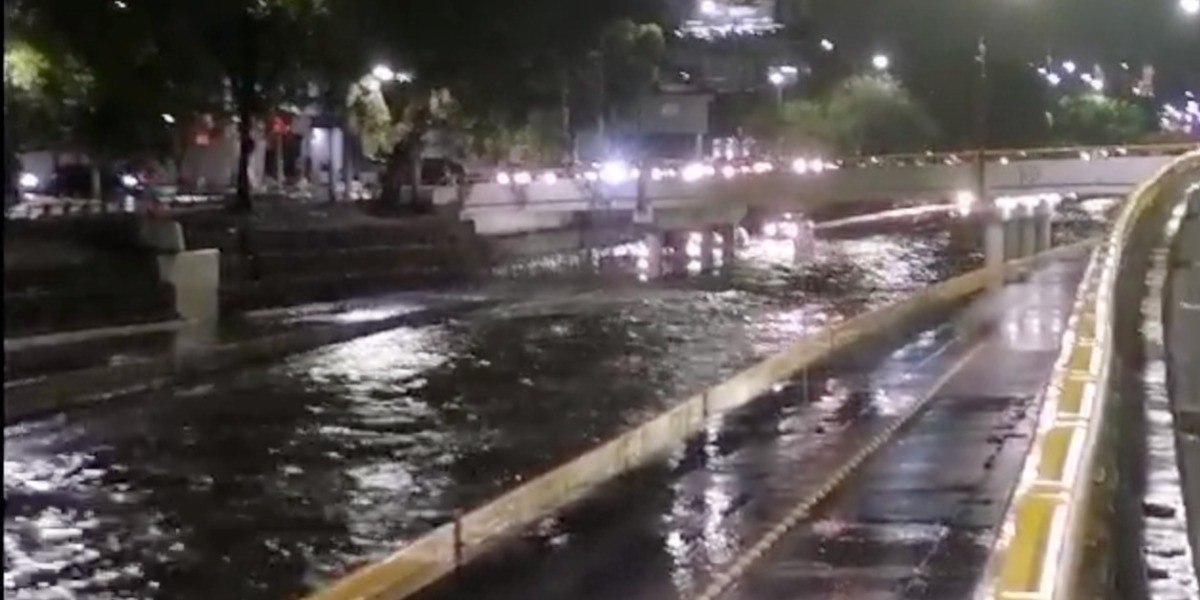 Tormenta en León tumbó más de 300 árboles