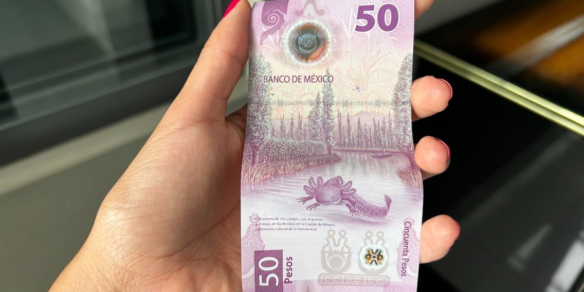 Hasta 7 millones de pesos cuesta un billete de ajolote