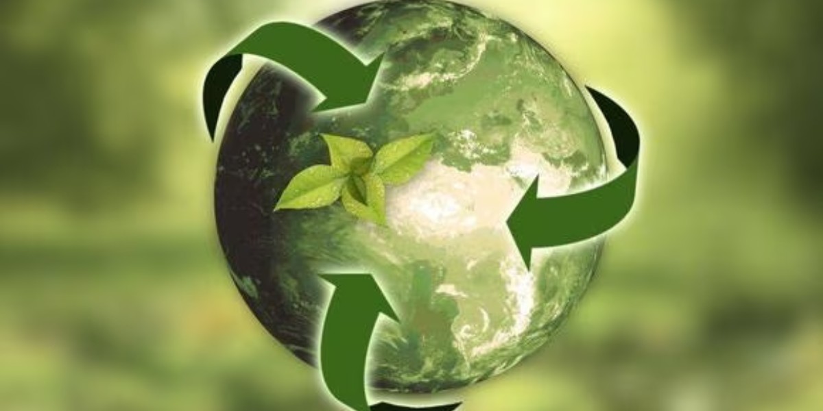 Acumulan mil 700 denuncias por daños ambientales en el estado