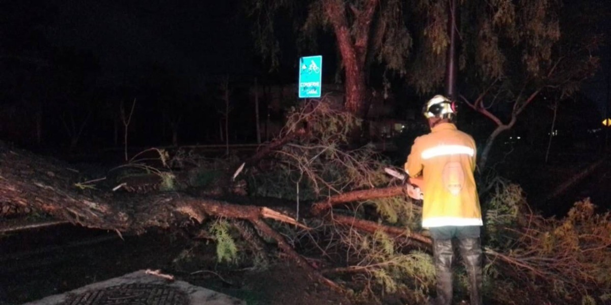 Pagan aseguradoras $25 millones al año por daños causados por lluvias