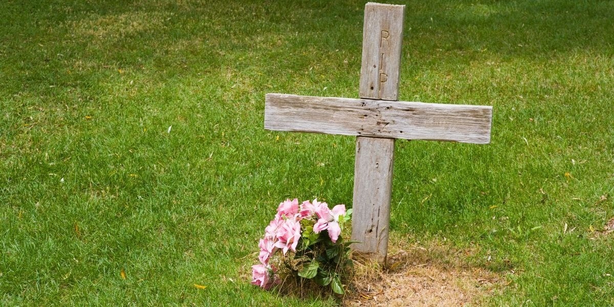 Investigan muerte de 70 menores por jarabes para la tos