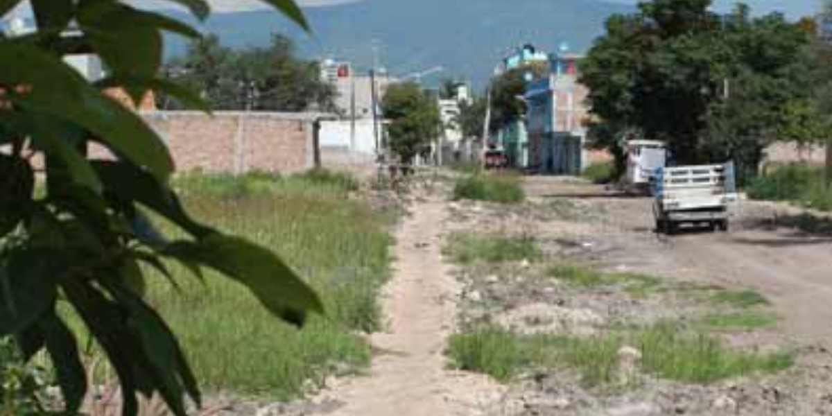 Hay 48 solicitudes ante el SIAP para la limpieza de lotes baldíos