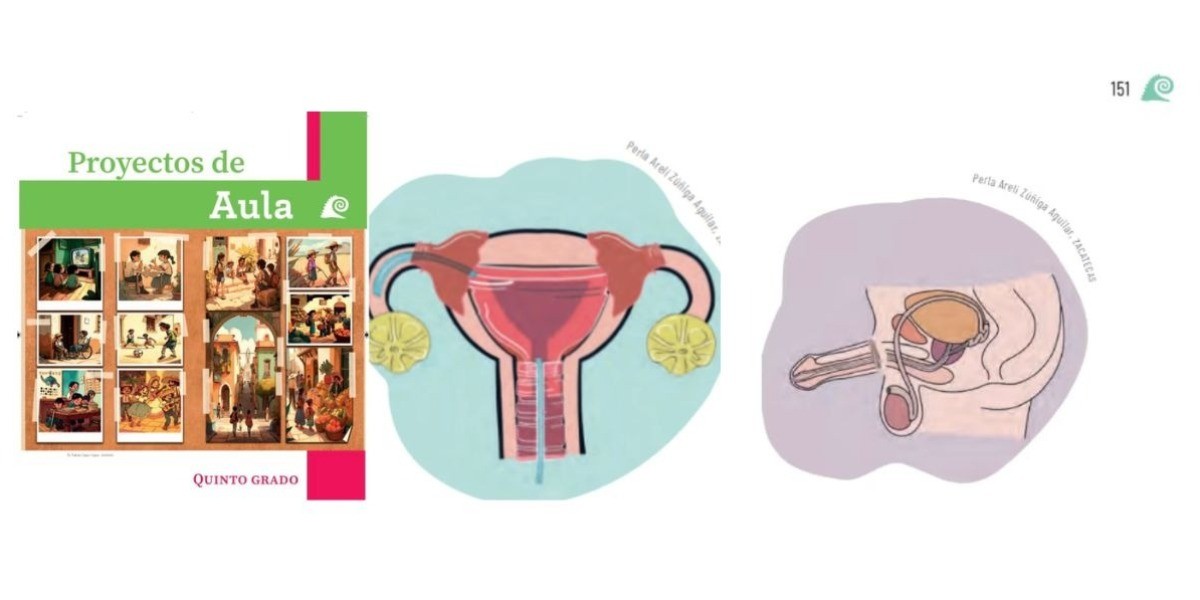 Advierten maestros que nuevos libros de la SEP están ideologizados y sexualizados 