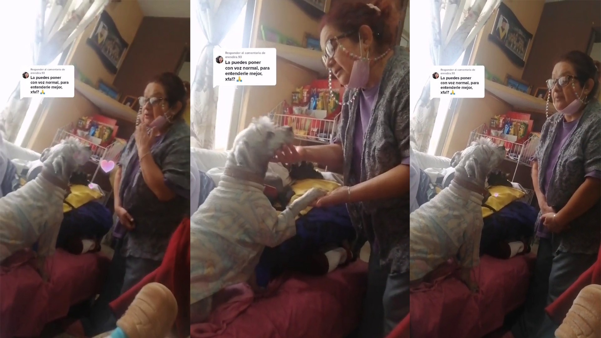 Conmovedor perrito calma a su dueña con amor incondicional