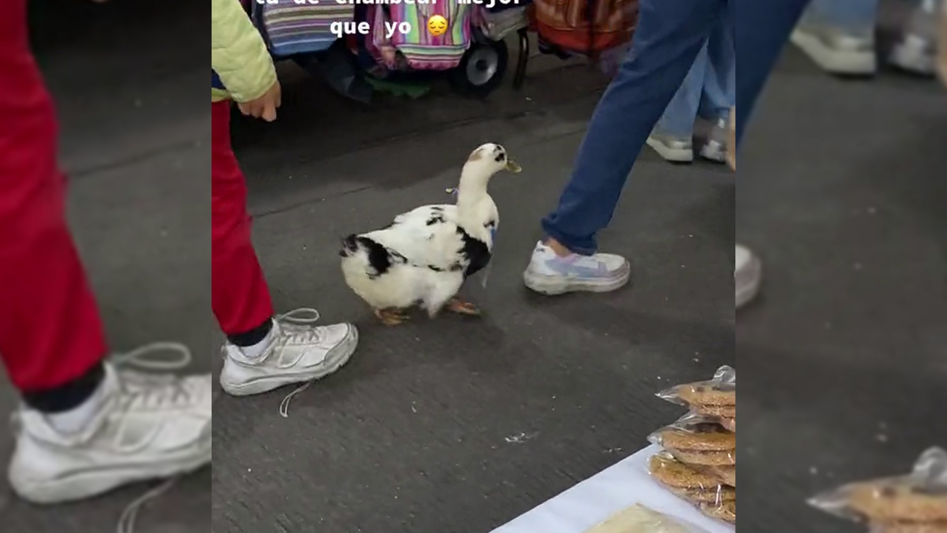 Pato vendedor de aguas en CDMX se hace viral