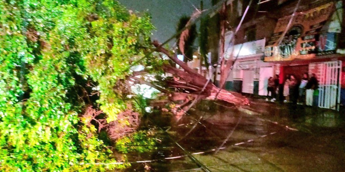 Árboles caídos, inundaciones y más de 88 autos varados, deja tormenta en León