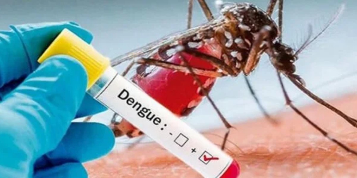 Suman 45 casos de dengue en Guanajuato; uno tiene signos de alarma