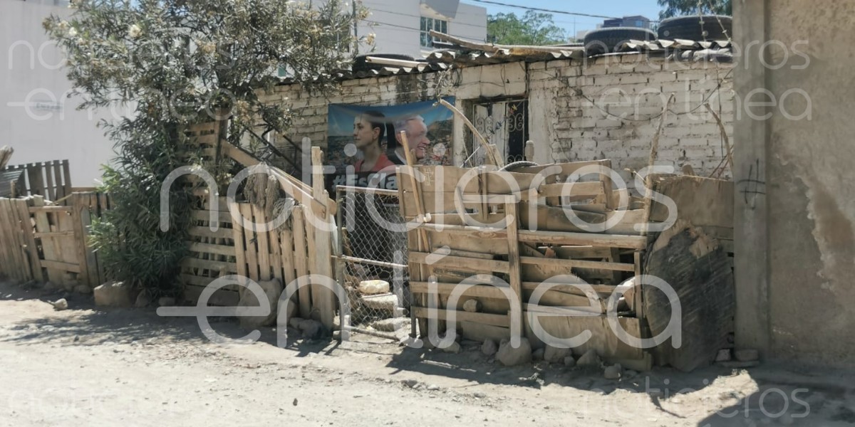 En Guanajuato, 1 de cada 3 personas viven en pobreza: Coneval