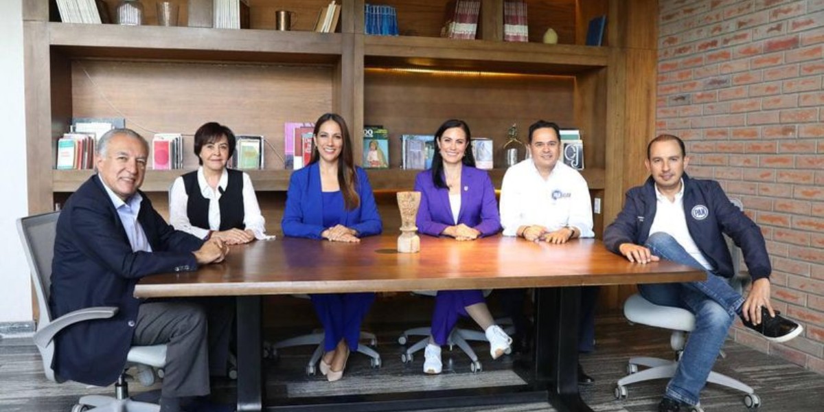 Mesa política del PAN sesionará las veces que sean necesarias: Ale Gutiérrez