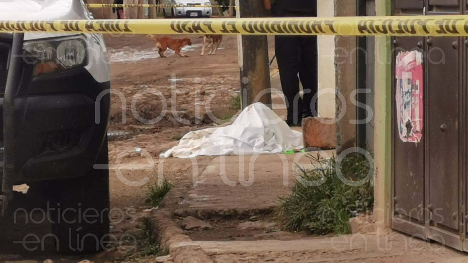 Localizan dos cuerpos desmembrados en León y Silao