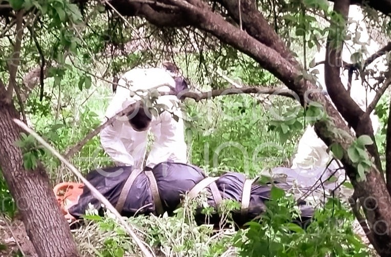 Localizan el cadáver de una mujer en San Isidro Labrador, León