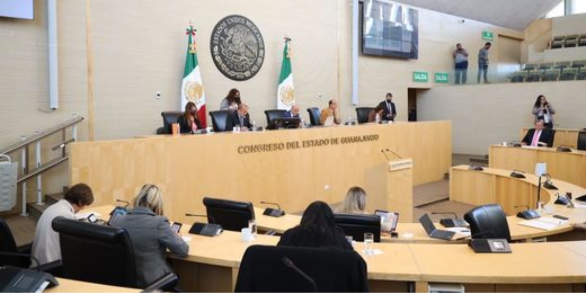 Diputaciones locales acaparan la mayor cantidad de votos nulos en Guanajuato
