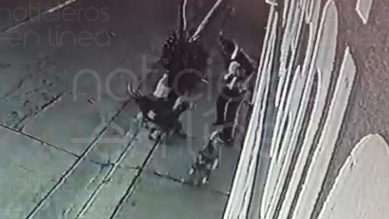 Hombre muere tras ser atacado por una jauría en León