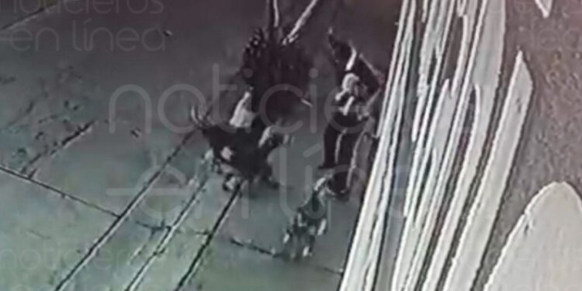 Autoridades buscan a jauría que ataca en Casa Blanca y San Jerónimo