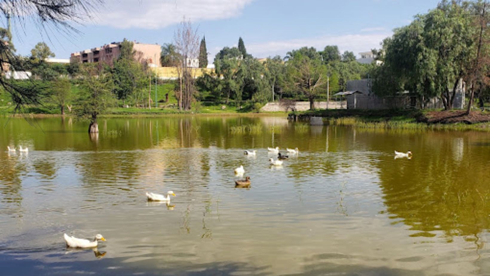 Obra Pública transformará el Parque Chapalita en un espacio gratuito