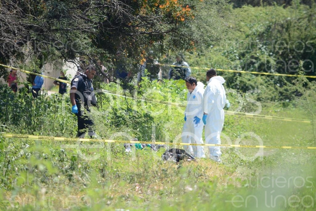 Perro devora una mano humana en León