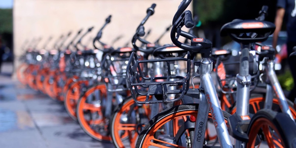 Piden ciclistas el regreso de Bici Pública León y homologarla con el SIT