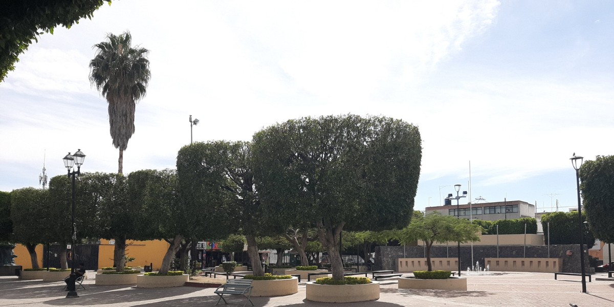 Subió hasta 5 grados centígrados temperatura promedio en Guanajuato