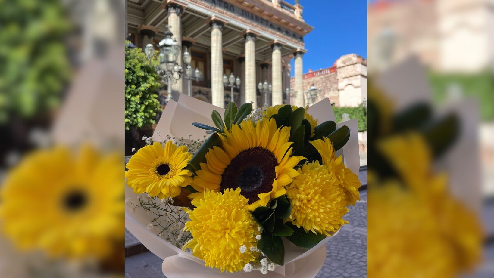 Estudiantes de Guanajuato reciben y regalan flores amarillas