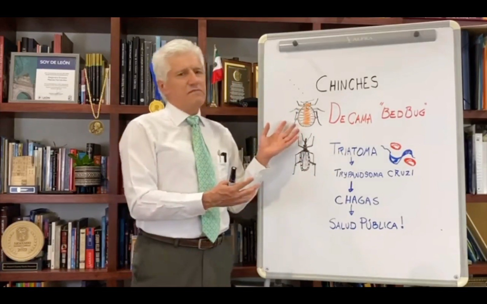 Plaga de chinches no es un problema de salud pública, asegura Alejandro Macías