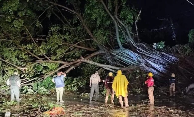 Huracán Lidia: Protección Civil confirma un muerto en Nayarit