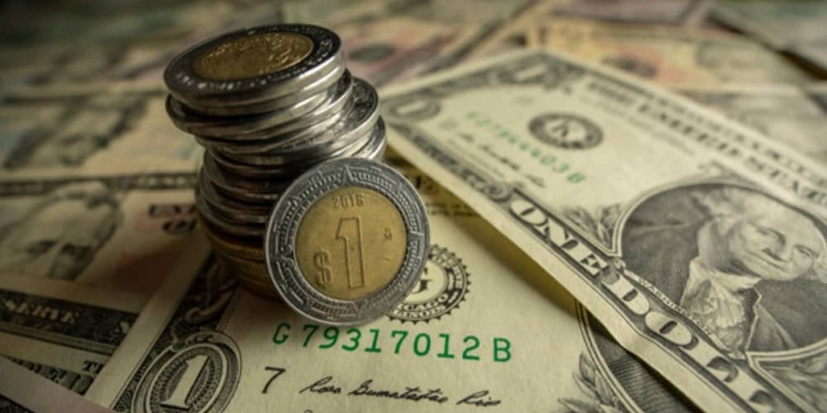 Empresas exportadoras de Guanajuato sufren por precio del dólar