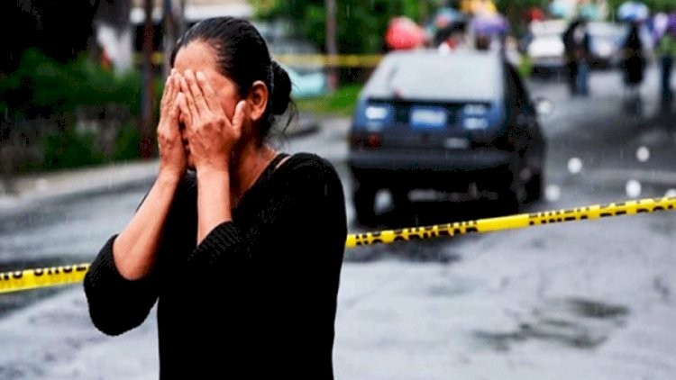 Percepción de inseguridad ha ido a la baja: Alejandra Gutiérrez