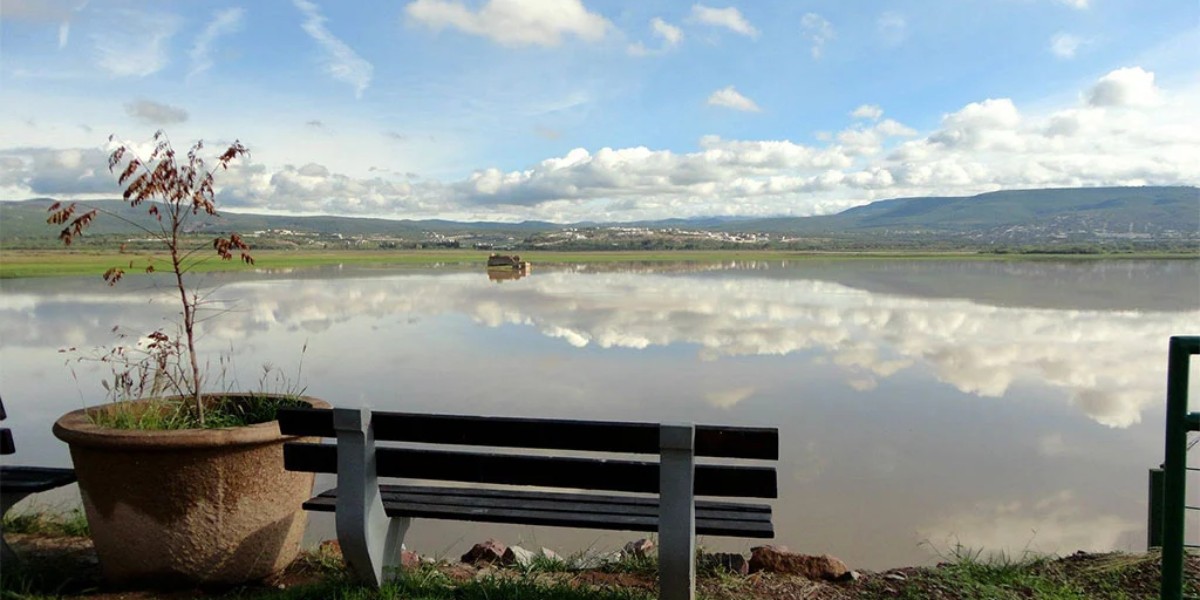 Arranca ampliación de 1 día más de 'Pase Verde' en León