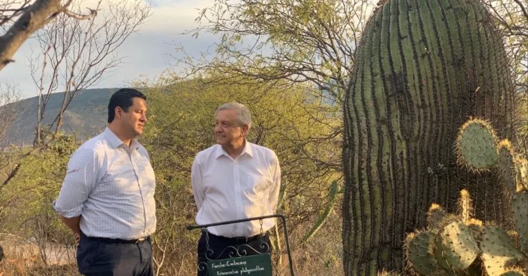 Presume AMLO “arreglos” entre autoridades y delincuentes en Guanajuato