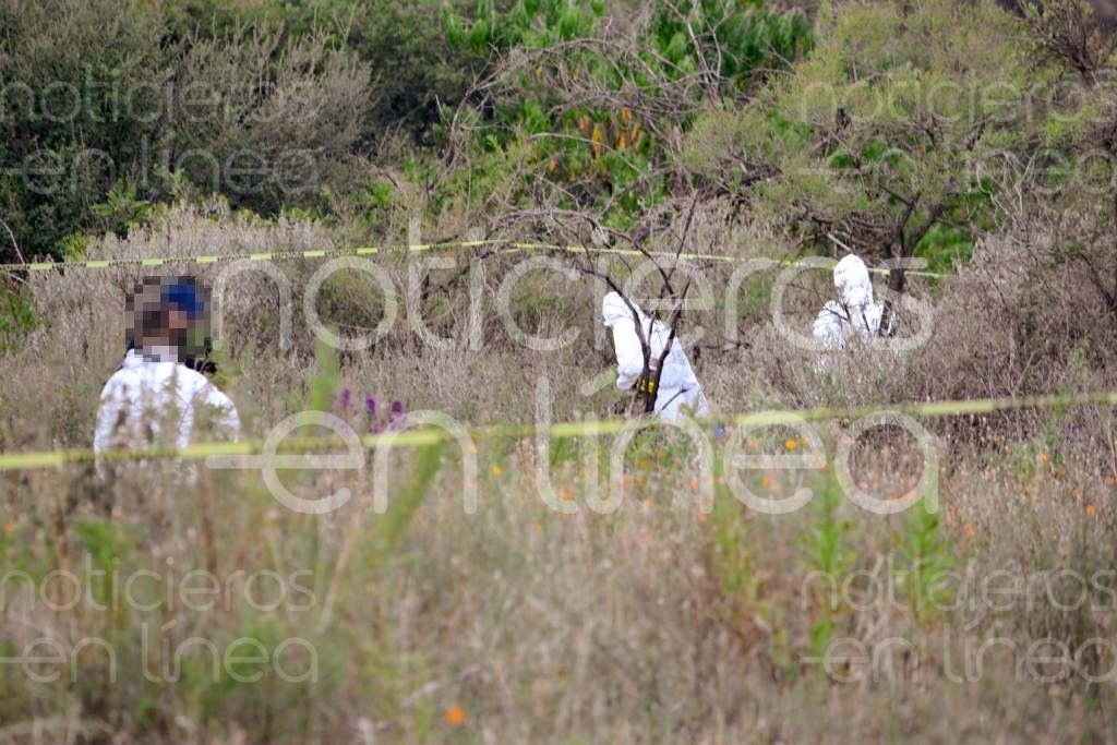 Hallan restos óseos en Refugio de Rosas