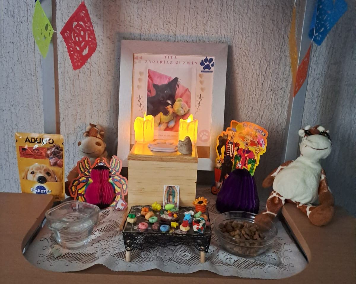 Día de Muertos: ¿Cuándo se pone el altar para las mascotas difuntas?
