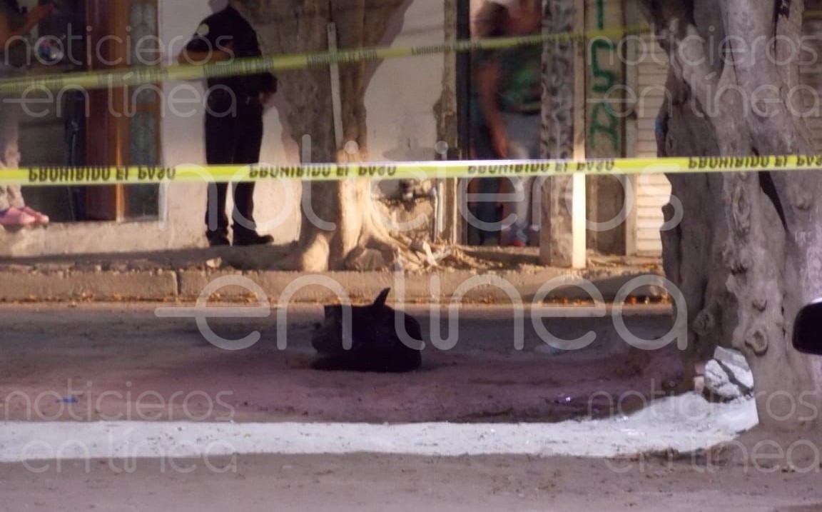 Abandonan restos humanos en Chapalita, León