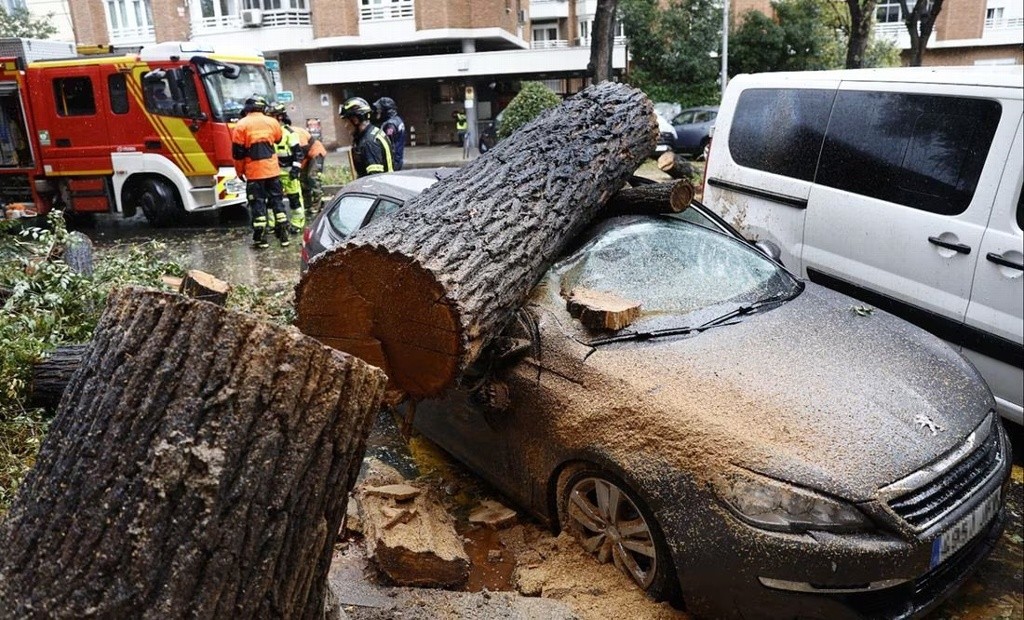 Tormenta 'Ciarán' causa 12 muertes en Italia
