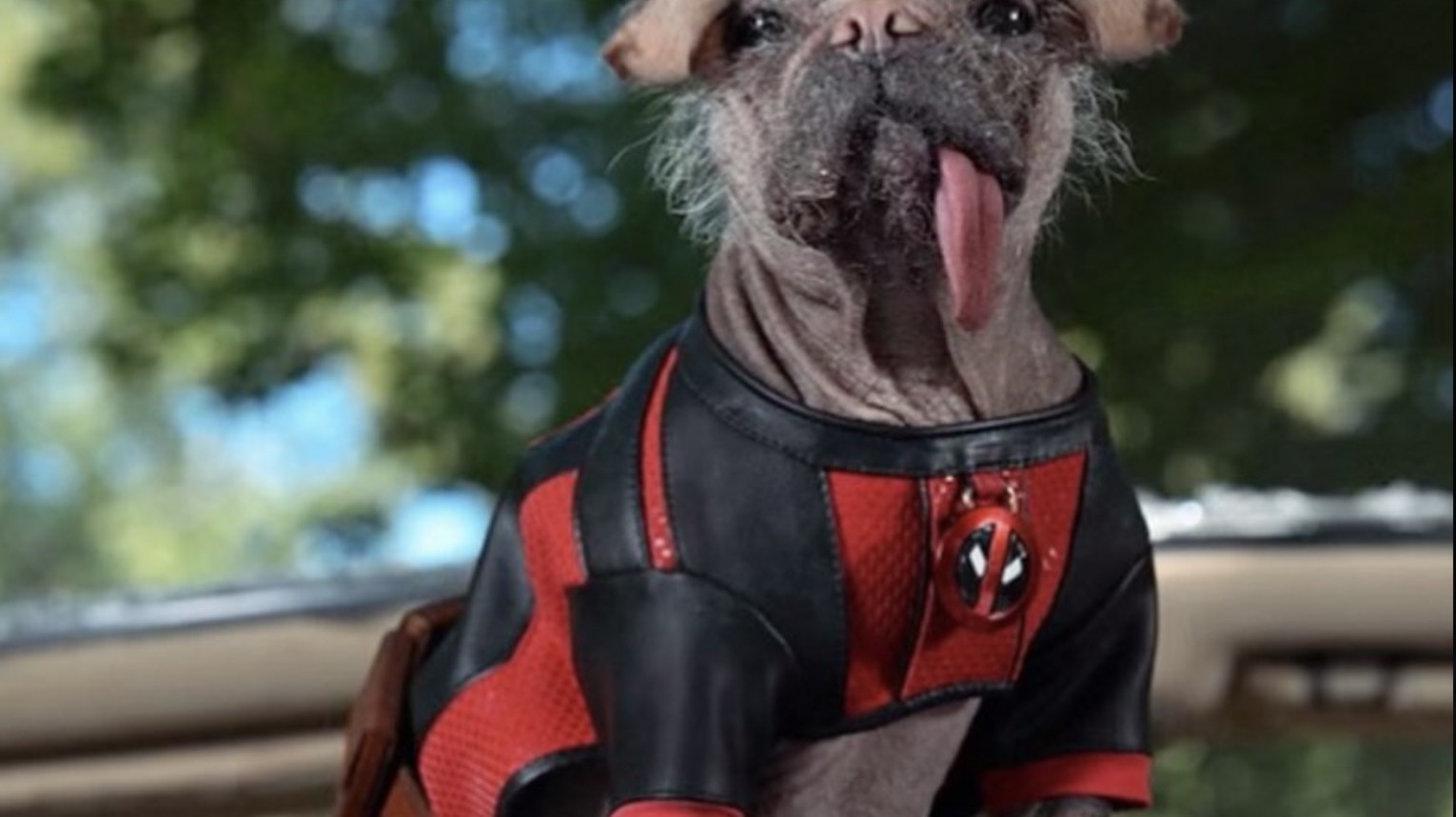Estreno de 'Deadpool 3' confirmado para 2024 con Dogpool