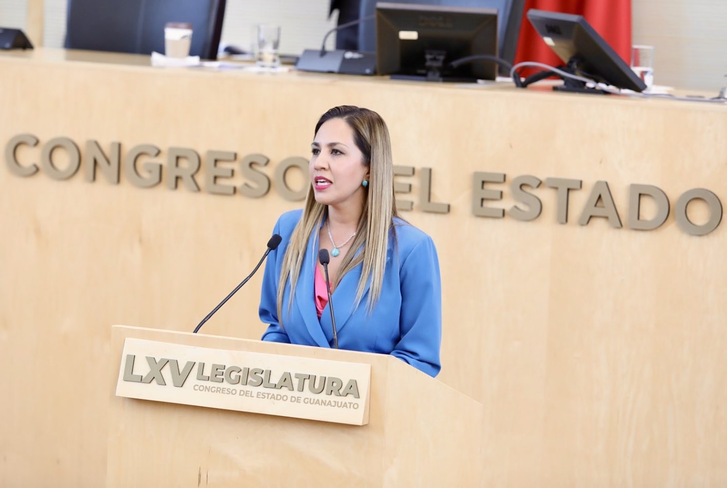 Necesaria una alianza con el PRI: diputada Melanie Murillo