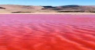 ¿El Río Nilo se tiñó de rojo en Egipto? Aquí la respuesta