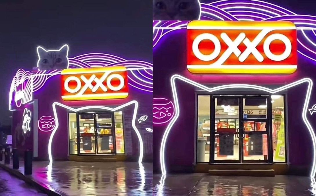 El encanto del 'Michi-Oxxo' se hace viral en redes sociales