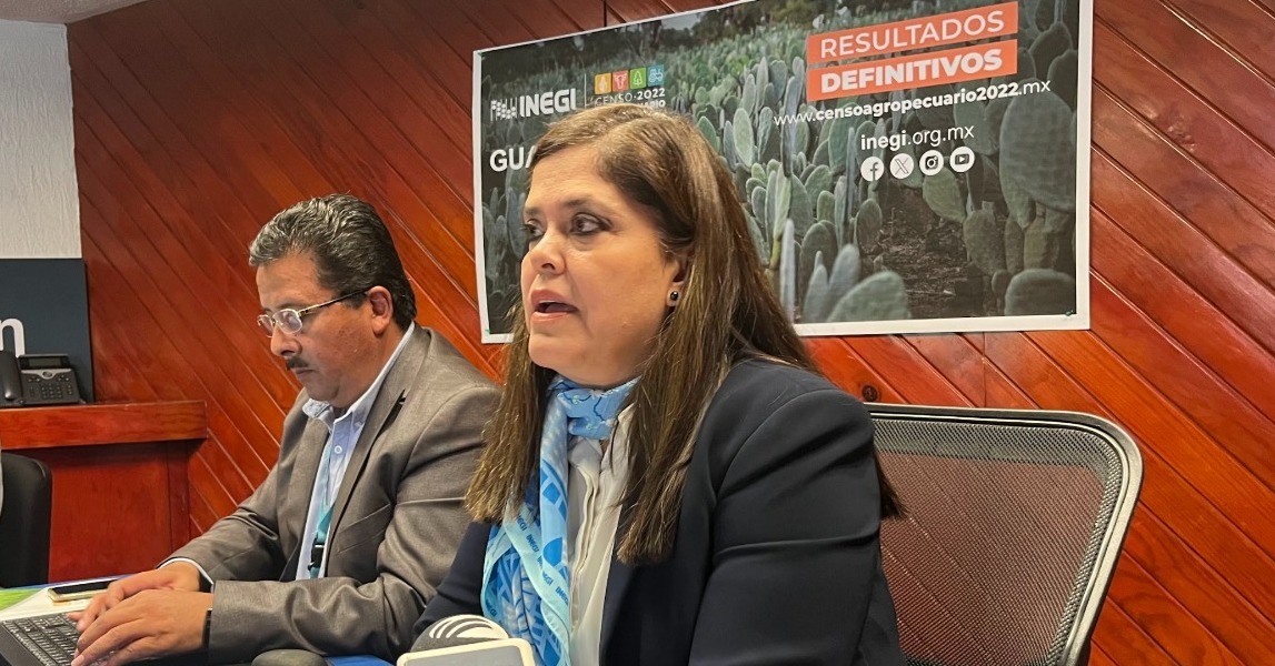 Más de 139 mil hectáreas no fueron sembradas en Guanajuato: INEGI